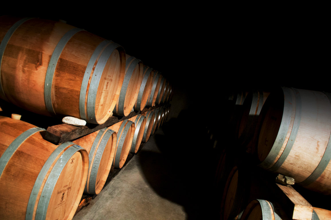 Barriques au Chai du Mas